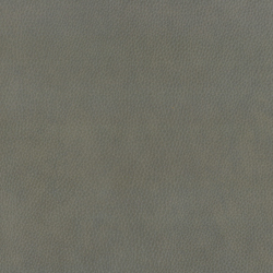 Sidekick Grey (Leather)