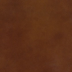 Top Drawer Cognac (Leather)