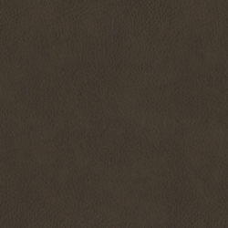 Regalia Mocha (Leather)