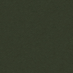 Patagonia Moss