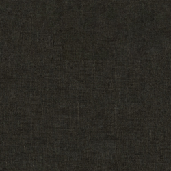 Rizz Charcoal